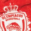 Κουβέρτα Βελουτέ Ημίδιπλη OFFICIAL TEAM LICENCED OLYMPIACOS VELOUR/3 της Palamaiki (155X215) 3
