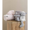 Βρεφική Κουβέρτα Fleece Αγκαλιάς με Μαλακό Παιχνίδι New Baby ΝΒ0147 της PALAMAIKI (75x100) - BOY 1